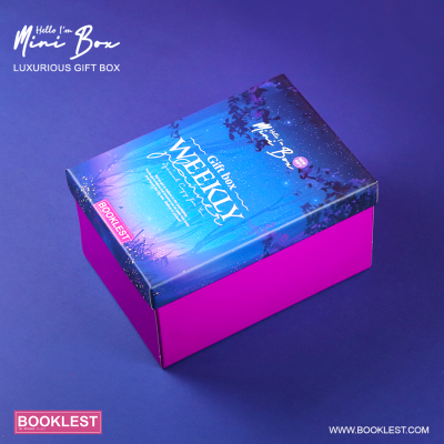 Mini Box Silent Night - Image 15