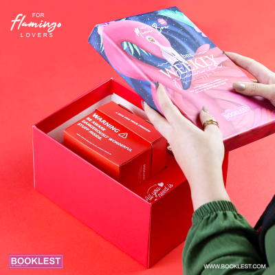 Mini Box Flamingo - Image 3