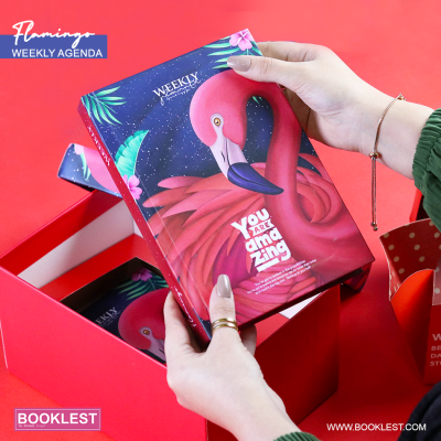 Mini Box Flamingo - Image 4